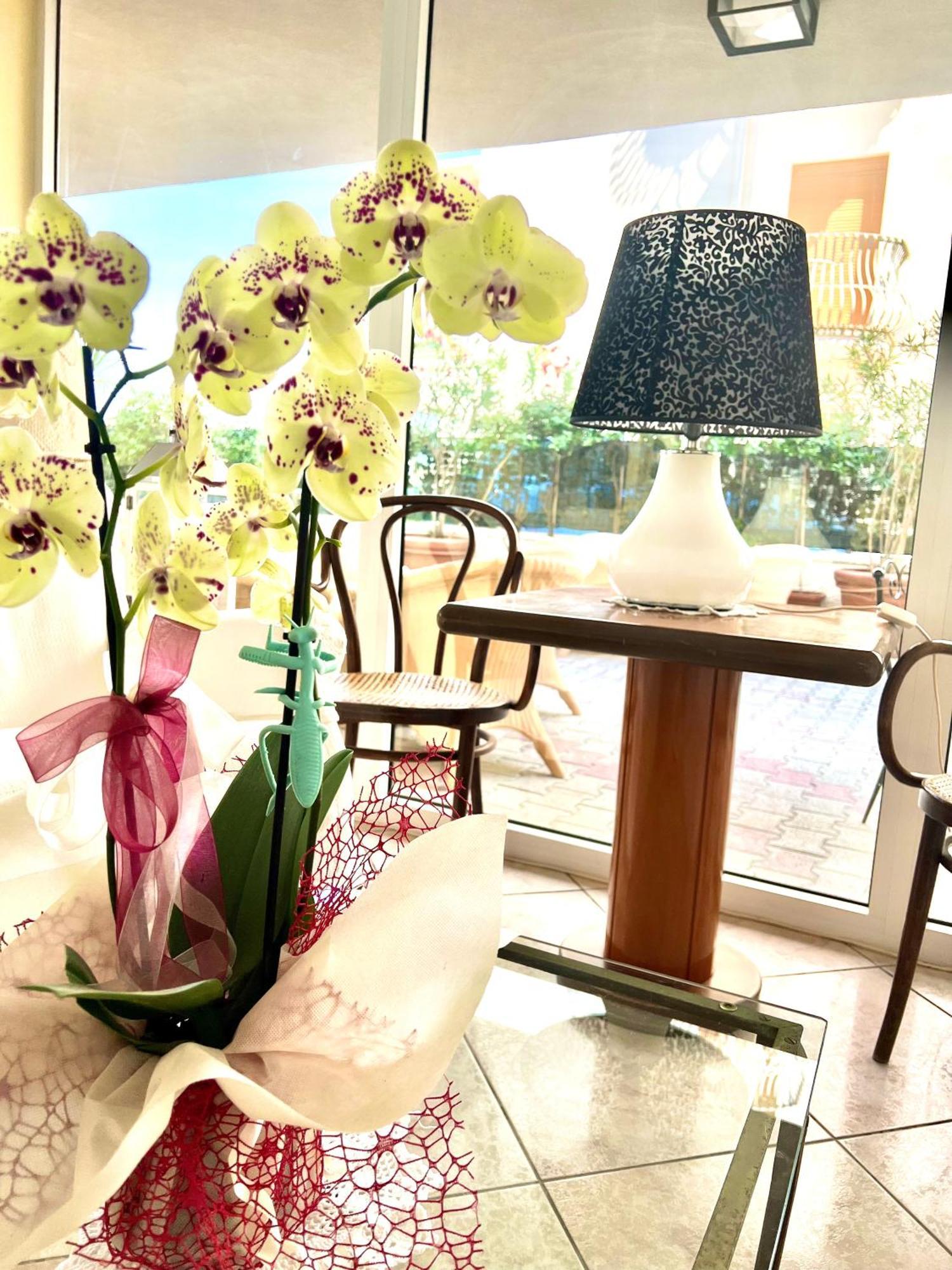 Hotel B&B Montecarlo Милано Мартима Екстериор снимка